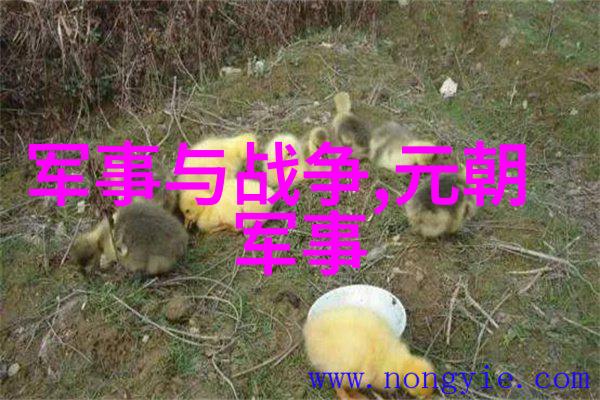 大理国是怎么灭亡的