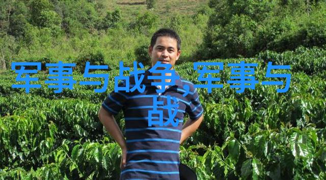第四节 征讨安南无功而返